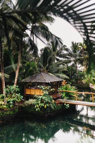 artistic-bright-child-1174932