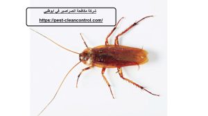 [صورة: %D8%B4%D8%B1%D9%83%D8%A9-%D9%85%D9%83%D8...00x168.jpg]