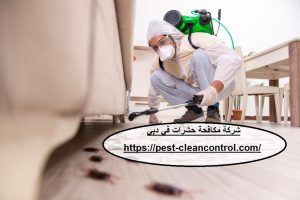شركة مكافحة حشرات في دبي