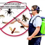 شركة رش حشرات في ابوظبي