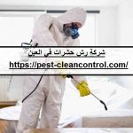 شركة رش حشرات في العين