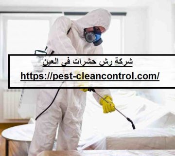 شركة رش حشرات في العين
