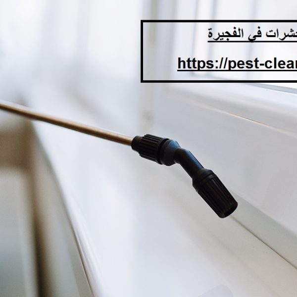 شركة رش حشرات في الفجيرة