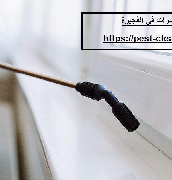 شركة رش حشرات في الفجيرة