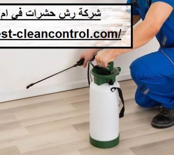 شركة رش حشرات في ام القيوين