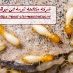 شركة مكافحة الرمة في ابوظبي