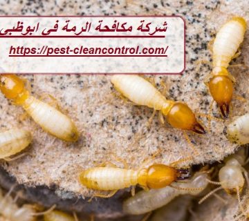 شركة مكافحة الرمة في ابوظبي