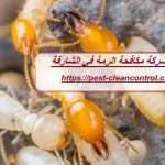 شركة مكافحة الرمة في الشارقة