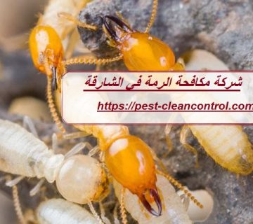 شركة مكافحة الرمة في الشارقة