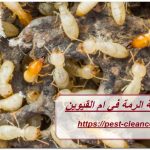 شركة مكافحة الرمة في ام القيوين