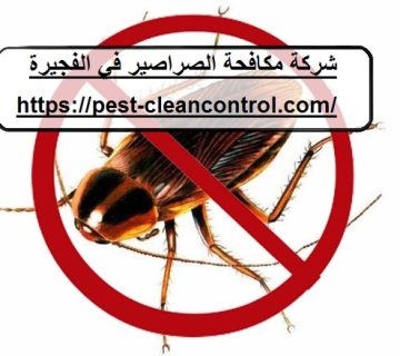 شركة مكافحة الصراصير في الفجيرة