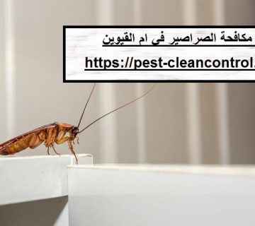 شركة مكافحة الصراصير في ام القيوين