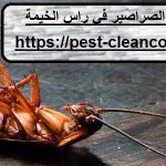 شركة مكافحة الصراصير في راس الخيمة