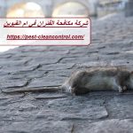 شركة مكافحة الفئران في ام القيوين