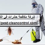 شركة مكافحة حشرات في الشارقة