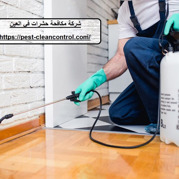 شركة مكافحة حشرات في العين