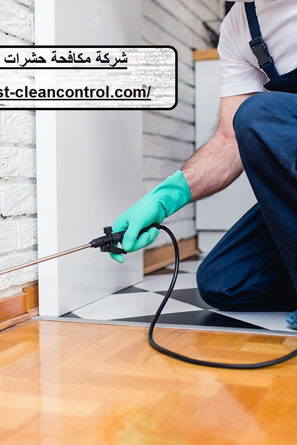 شركة مكافحة حشرات في العين
