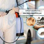 شركة مكافحة حشرات في الفجيرة