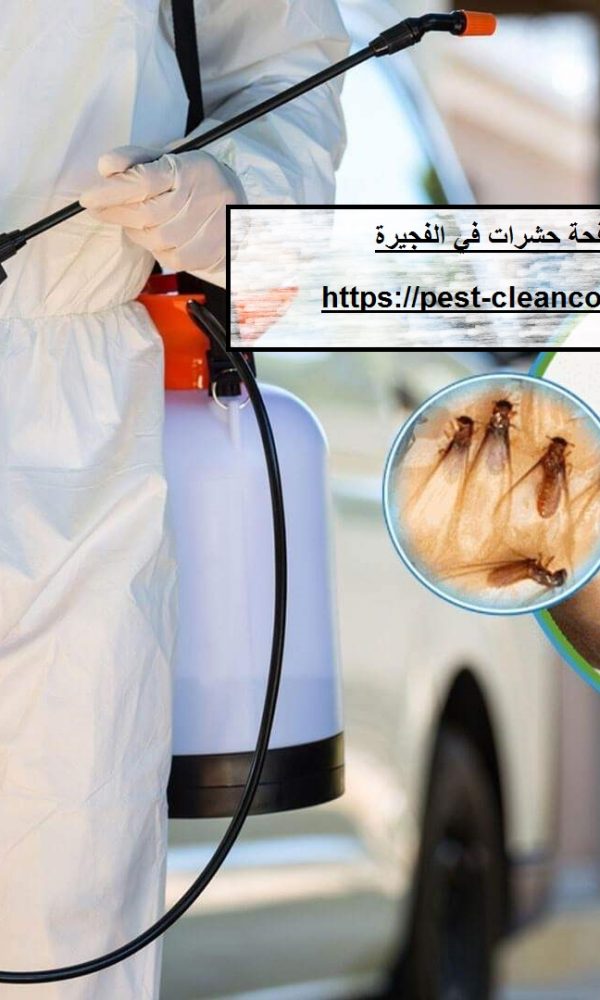 شركة مكافحة حشرات في الفجيرة