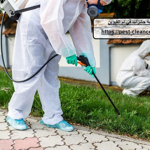 شركة مكافحة حشرات في ام القيوين