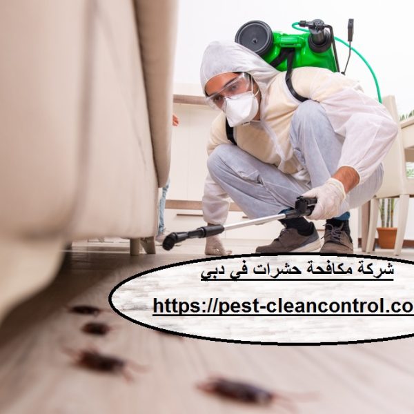 شركة مكافحة حشرات في دبي
