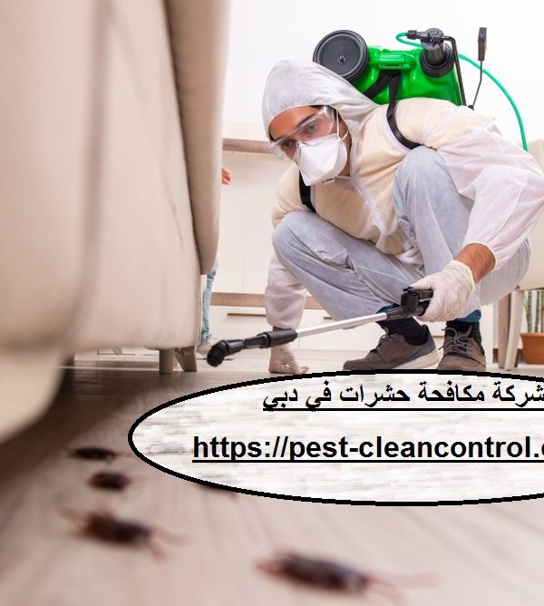 شركة مكافحة حشرات في دبي