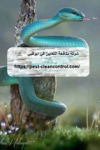 [صورة: %D8%B4%D8%B1%D9%83%D8%A9-%D9%85%D9%83%D8...00x300.jpg]