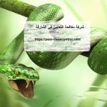 شركة مكافحة الثعابين في الشارقة
