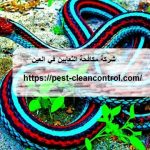 شركة مكافحة الثعابين في العين
