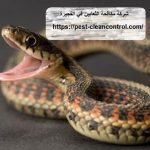 شركة مكافحة الثعابين في الفجيرة
