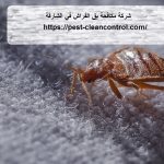 شركة مكافحة بق الفراش في الشارقة