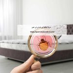 شركة مكافحة بق الفراش في العين