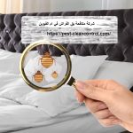 شركة مكافحة بق الفراش في ام القيوين