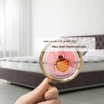 شركة مكافحة بق الفراش في راس الخيمة