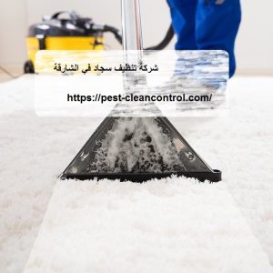 شركة تنظيف سجاد في الشارقة