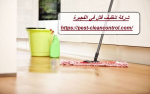 شركة تنظيف فلل في الفجيرة