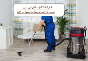 شركة تنظيف فلل في دبي