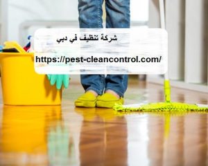 شركة تنظيف في دبي