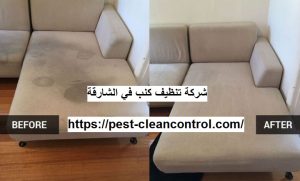 شركة تنظيف كنب في الشارقة