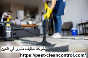 شركة تنظيف منازل في العين