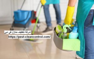 شركة تنظيف منازل في دبى