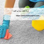 شركة تنظيف سجاد في الفجيرة