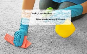 شركة تنظيف سجاد في الفجيرة