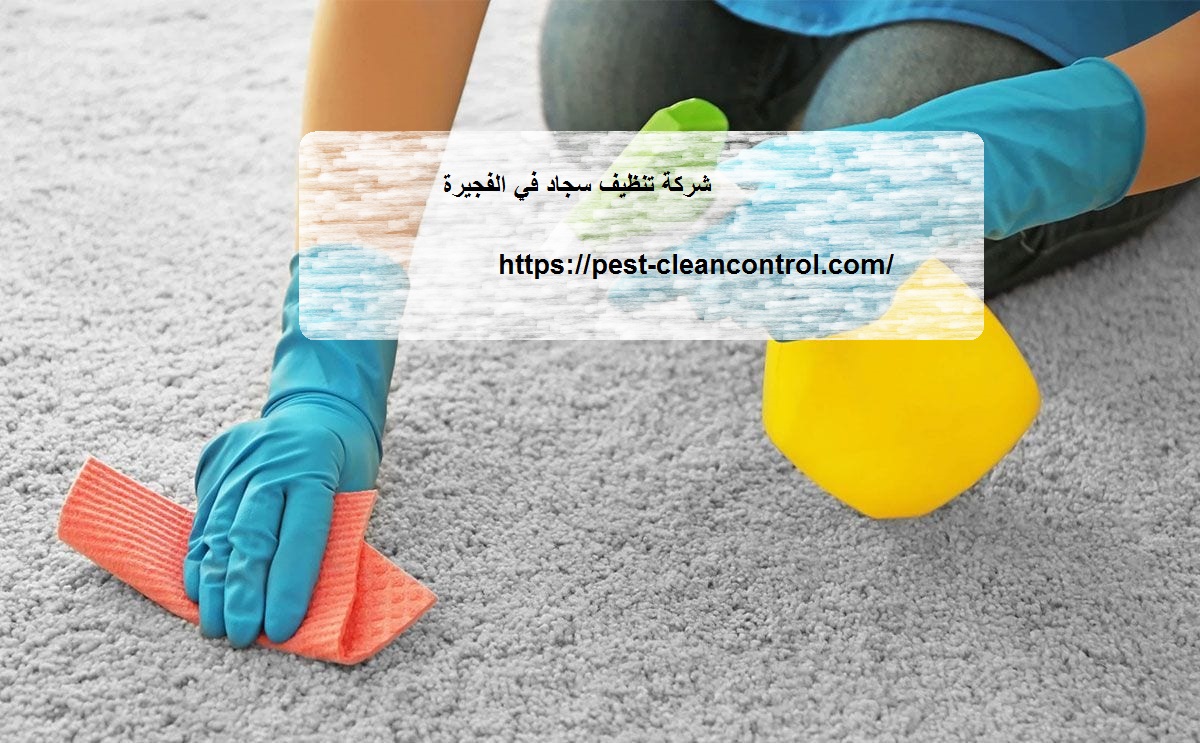 شركة تنظيف سجاد في الفجيرة