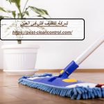 شركة تنظيف فلل في العين