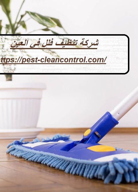 شركة تنظيف فلل في العين