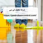 شركة تنظيف في دبي