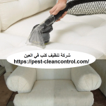 شركة تنظيف كنب في العين