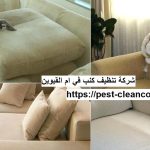 شركة تنظيف كنب في ام القيوين