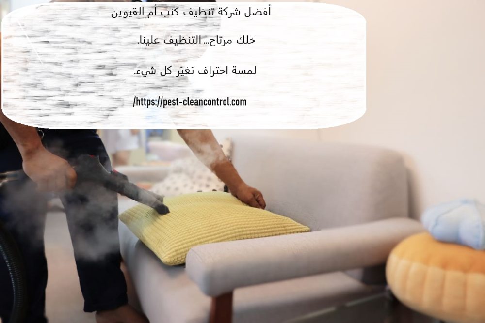 أفضل شركة تنظيف كنب أم القيوين